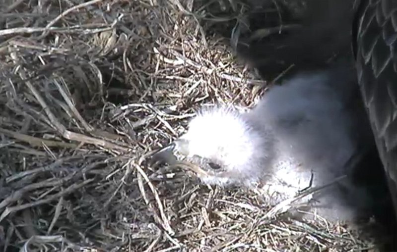 ScreenHunter_08 Apr. 06 16.54.jpg